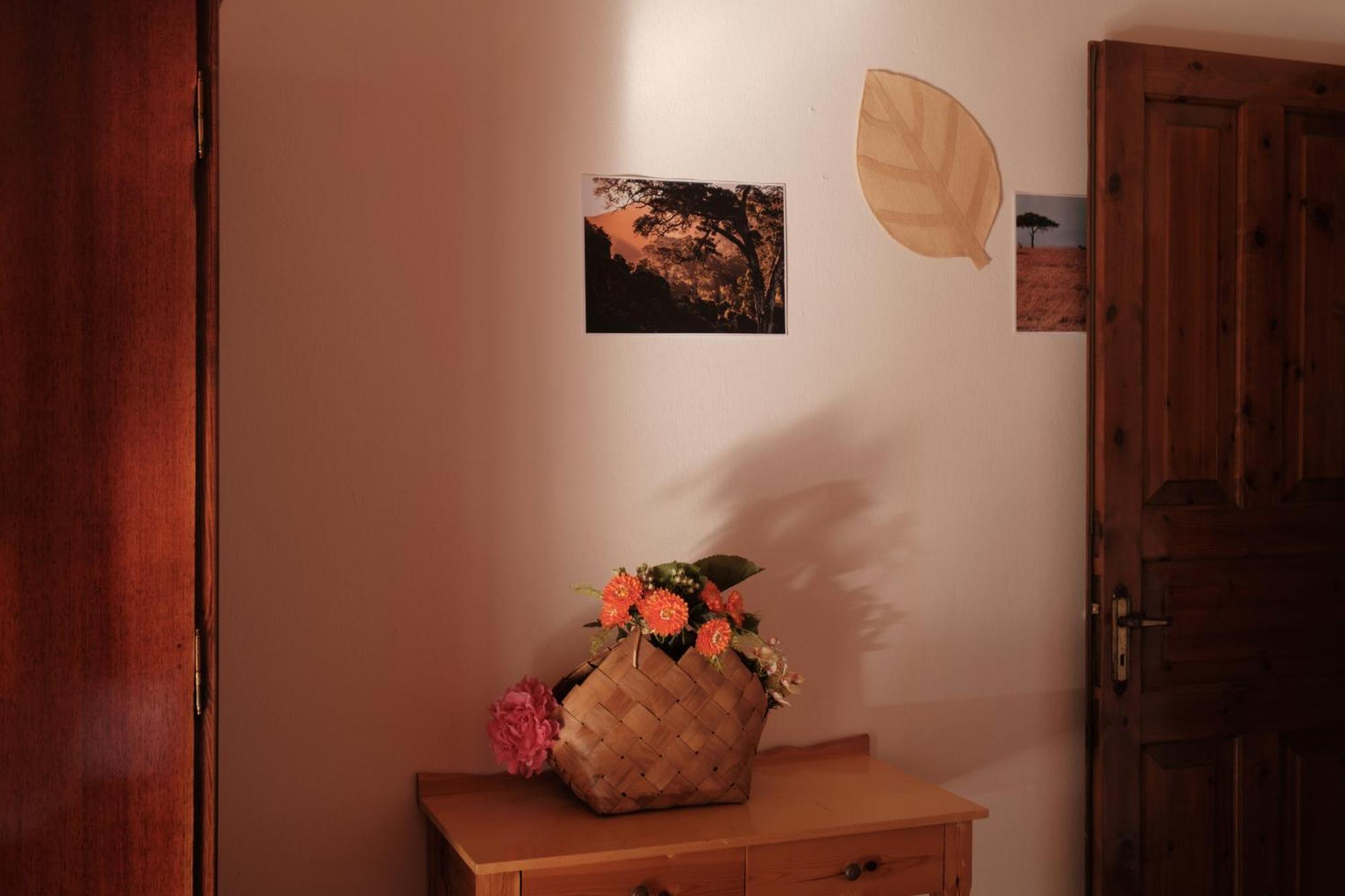 Serengeti Nap Comfy Rooms Sidari  Room photo